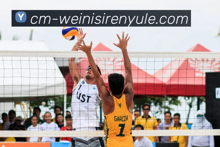 威尼斯人官网APP 封面图